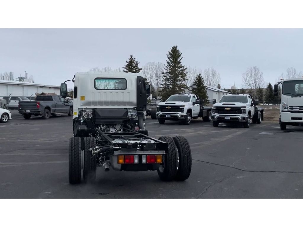 2024 Chevrolet Low Cab Forward 4500 HG MEDIUM ASH GRAY