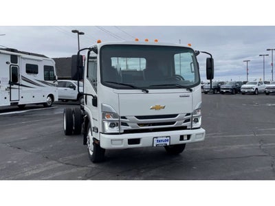2024 Chevrolet Low Cab Forward 4500 HG MEDIUM ASH GRAY