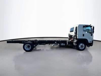 2024 Chevrolet Low Cab Forward 6500 XD MEDIUM ASH GRAY